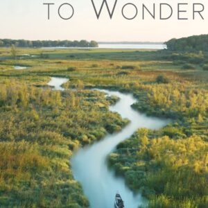 An Invitation To Wonder