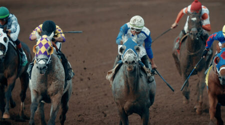 Behind the Reins