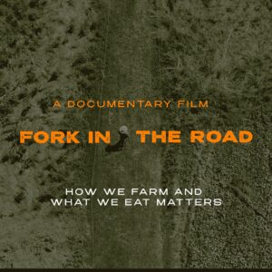 Fork in the Road